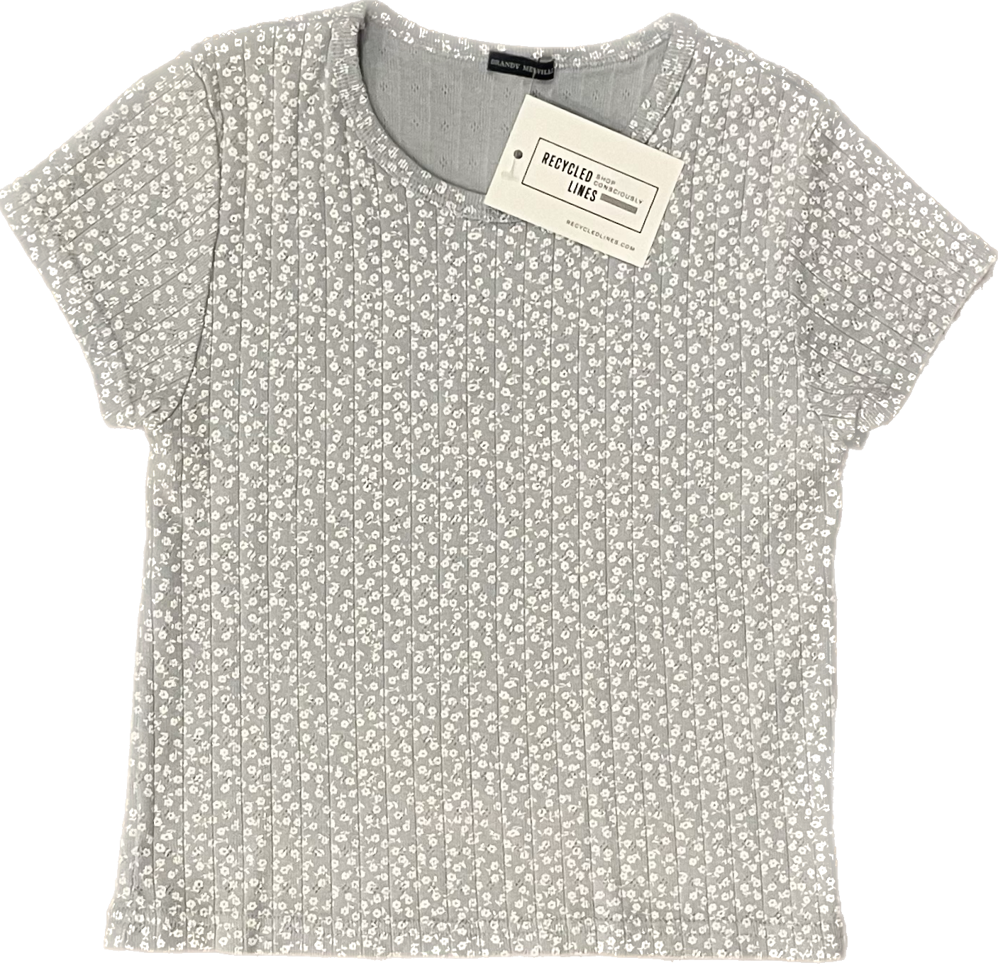Brandy Melville Baby Tee, Blue Floral Womens O/S